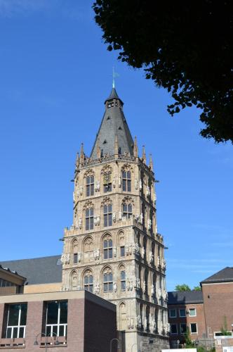 DSC_0700.JPG