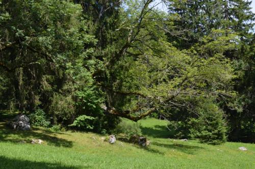 DSC_0839.JPG