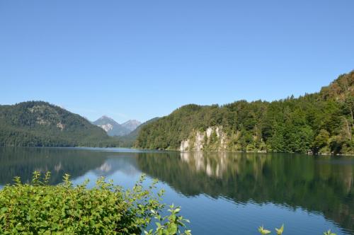 DSC_0723.JPG