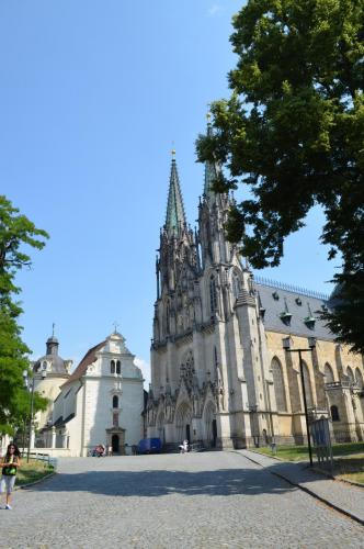 DSC_0411.JPG