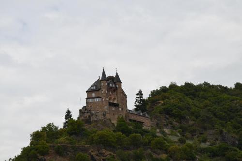 DSC_0847.JPG