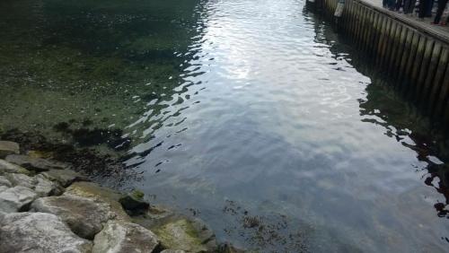 WP_20150809_249.jpg