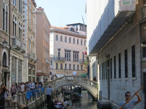 IMG_1215.JPG