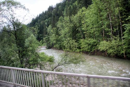 IMG_0486 копия.jpg