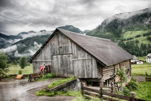 IMG_0506 копия.jpg