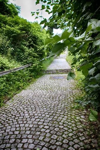 IMG_0123 копия.jpg