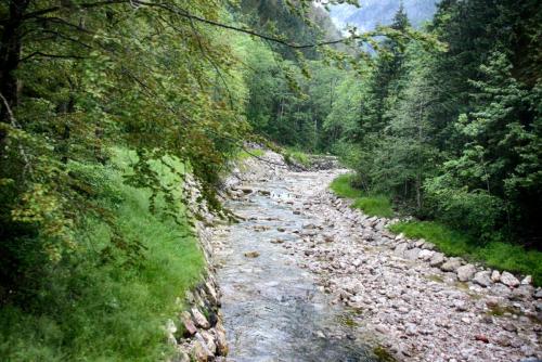 IMG_0526 копия.jpg