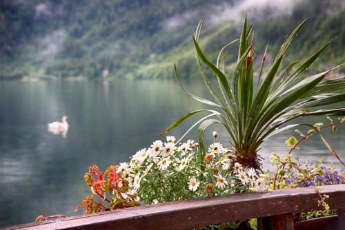 IMG_0630 копия.jpg