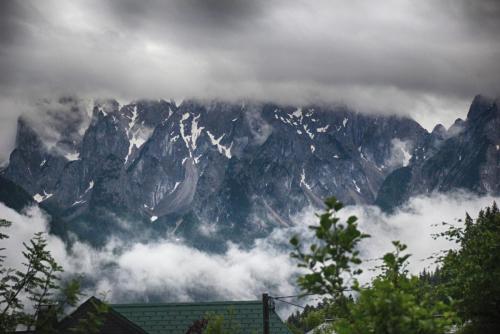 IMG_0492 копия.jpg