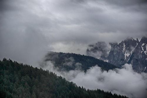 IMG_0504 копия.jpg