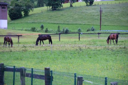 IMG_0485 копия.jpg