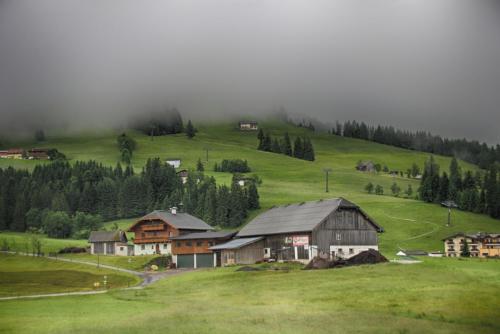 IMG_0482 копия.jpg