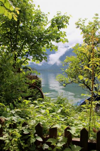 IMG_0864 копия.jpg