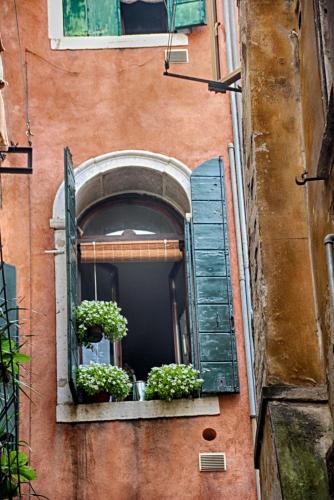 IMG_4735 копия.jpg