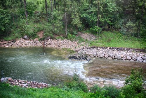 IMG_0523 копия.jpg