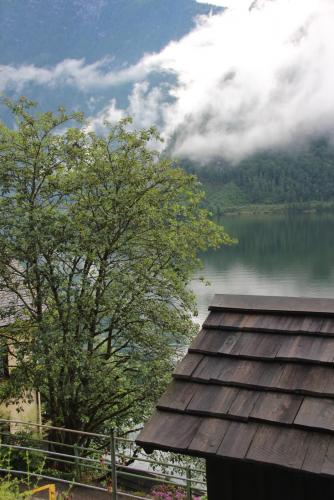 IMG_0748 копия.jpg