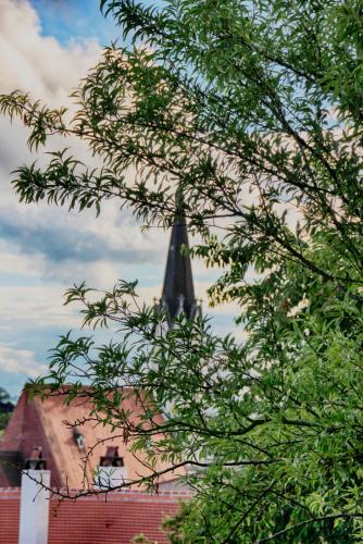 IMG_0139 копия.jpg