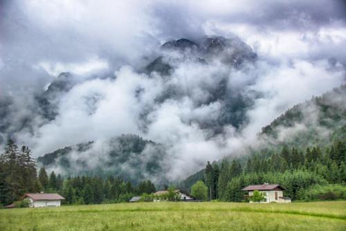 IMG_0478 копия.jpg