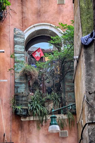 IMG_4734 копия.jpg