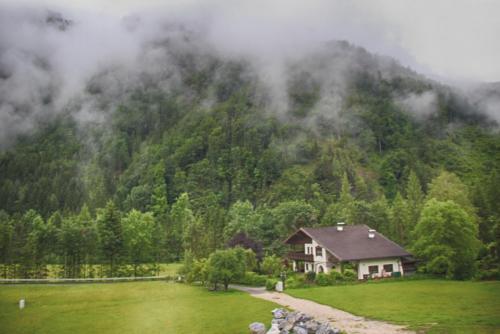 IMG_0464 копия.jpg