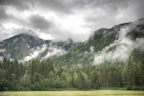 IMG_0467 копия.jpg