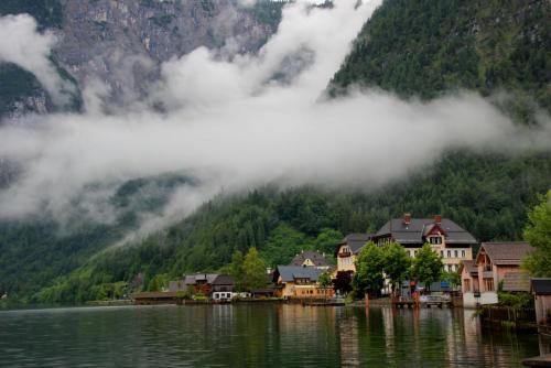 IMG_0583 копия.jpg