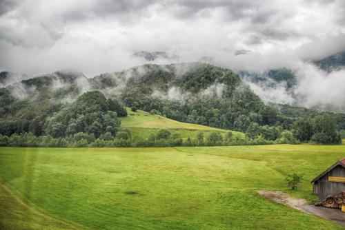 IMG_0452 копия.jpg