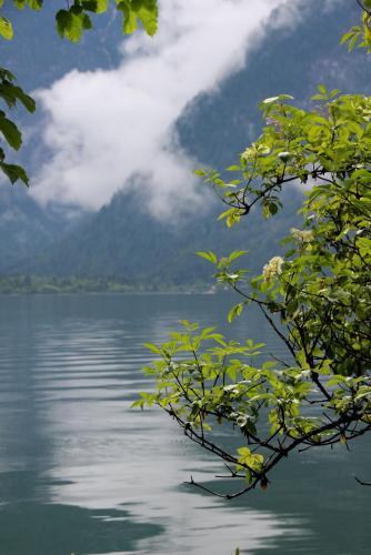 IMG_0866 копия.jpg