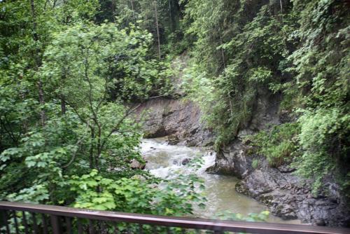 IMG_0488 копия.jpg