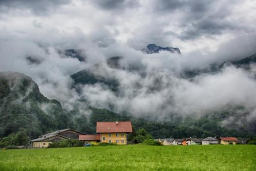 IMG_0451 копия.jpg