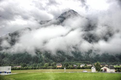 IMG_0450 копия.jpg