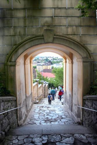 IMG_0135 копия.jpg