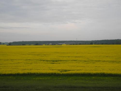 DSCN9805.JPG