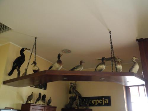 DSCN7349.JPG