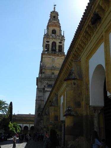 DSCN8529.JPG