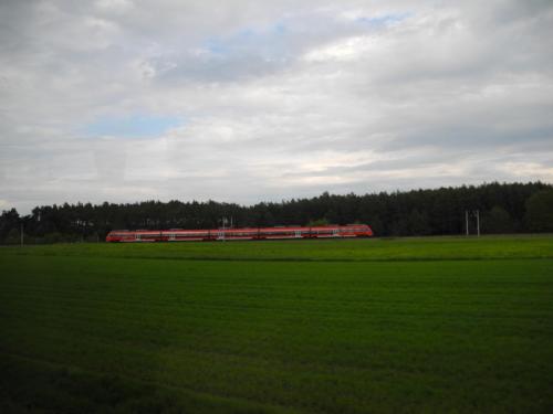 DSCN9791.JPG