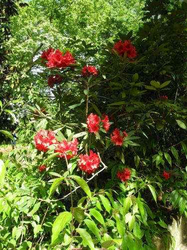 DSCN8950.JPG