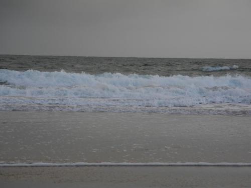 DSCN9145.JPG