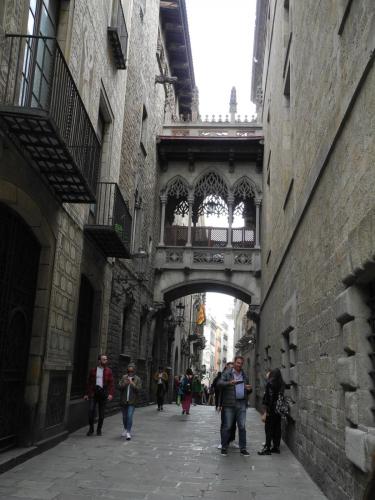 DSCN7720.JPG