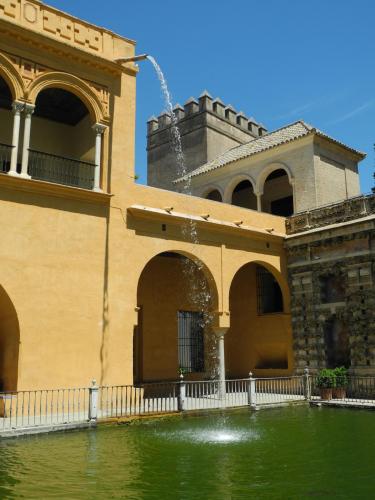 DSCN8714.JPG