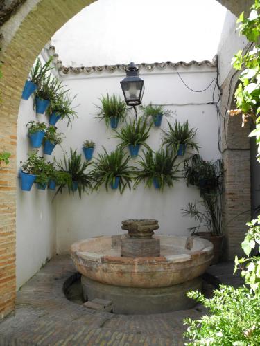 DSCN8466.JPG