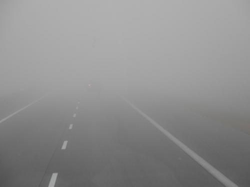 DSCN7304.JPG