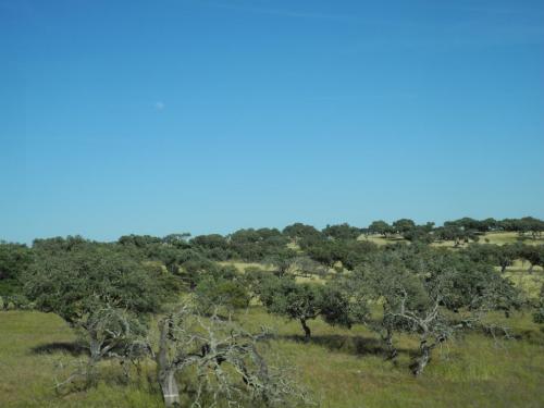 DSCN8766.JPG