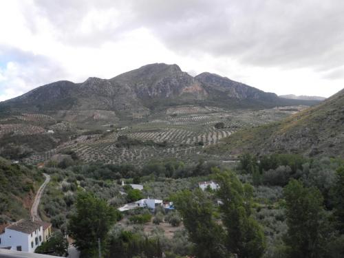 DSCN8221.JPG