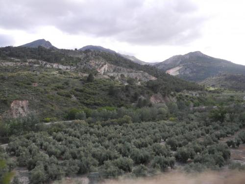 DSCN8219.JPG