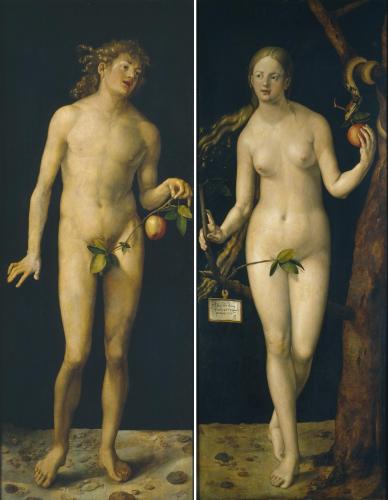 DSCN8021_ (Dürer).jpg