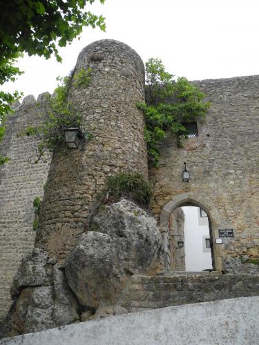DSCN9060.JPG