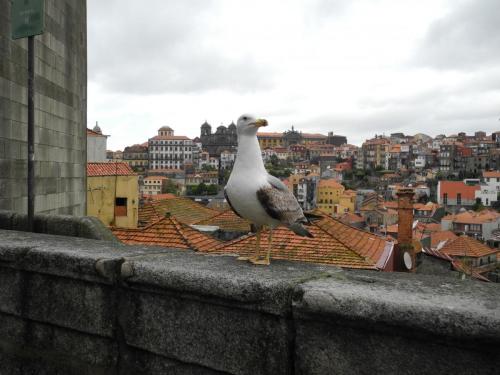DSCN9193.JPG