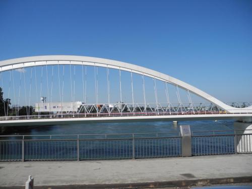 DSCN7082.JPG