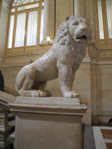 DSCN7940.JPG